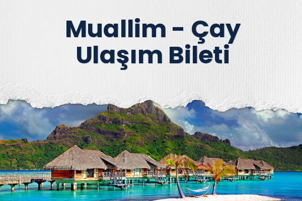 Muallim → Çay Ulaşım Bileti