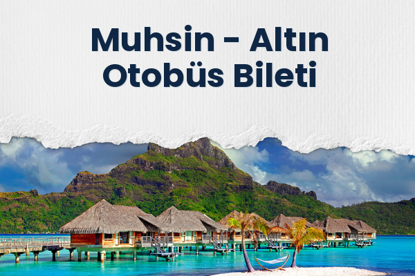 Muhsin → Altın Otobüs Bileti