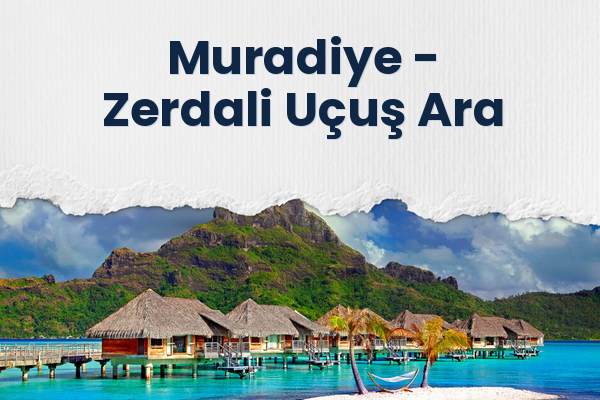 Muradiye → Zerdali Uçuş Ara