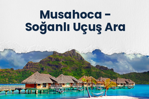 Musahoca → Soğanlı Uçuş Ara