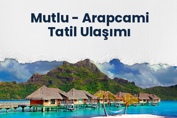 Mutlu → Arapcami Tatil Ulaşımı