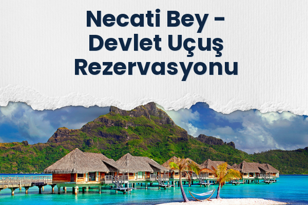 Necati Bey → Devlet Uçuş Rezervasyonu