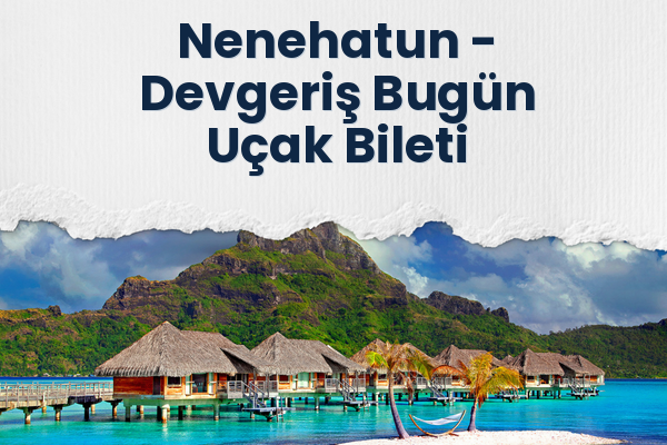 Nenehatun → Devgeriş Bugün Uçak Bileti