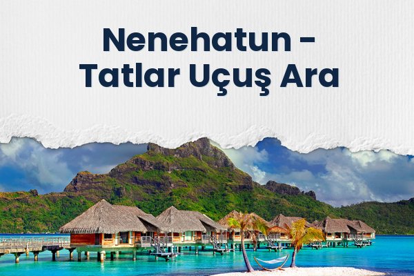 Nenehatun → Tatlar Uçuş Ara