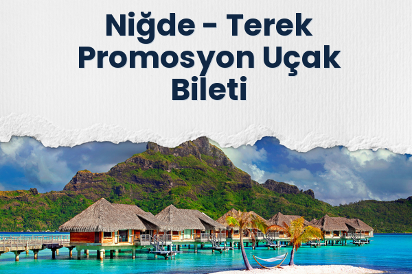 Niğde → Terek Promosyon Uçak Bileti