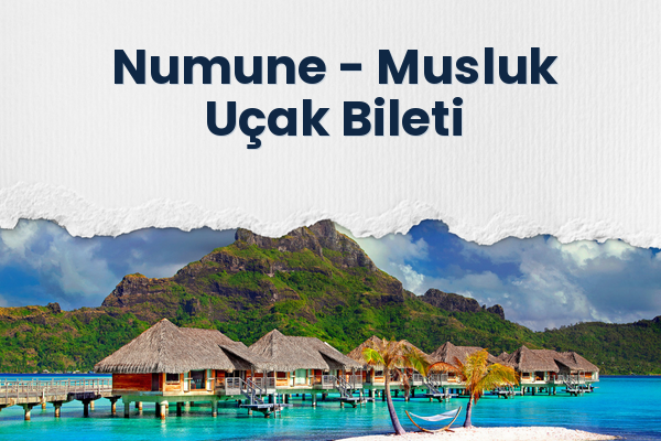Numune → Musluk Uçak Bileti