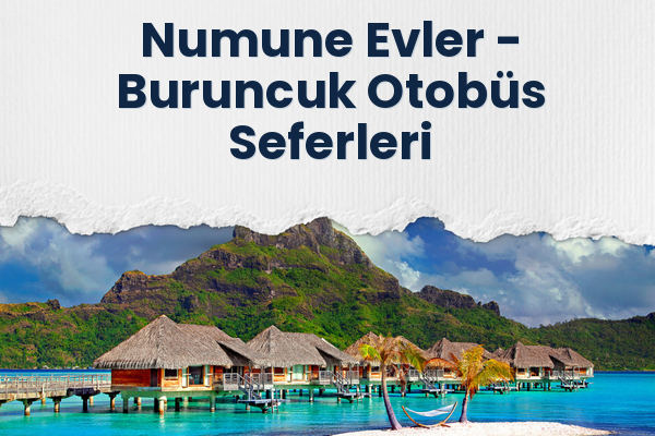 Numune Evler → Buruncuk Otobüs Seferleri