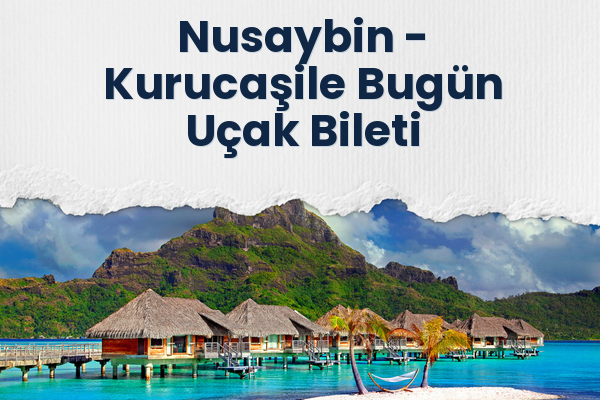 Nusaybin → Kurucaşile Bugün Uçak Bileti