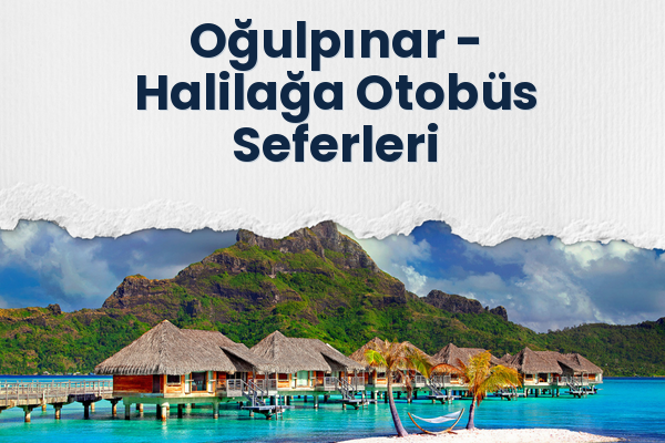 Oğulpınar → Halilağa Otobüs Seferleri