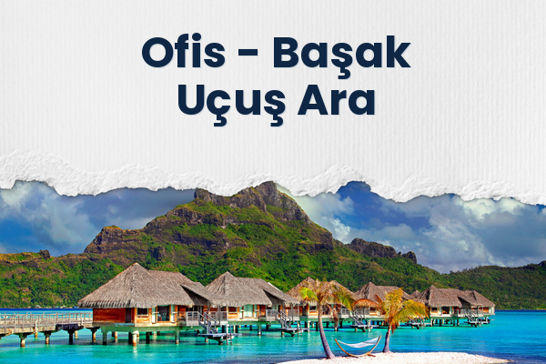 Ofis → Başak Uçuş Ara