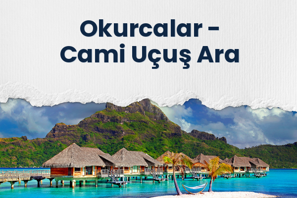 Okurcalar → Cami Uçuş Ara