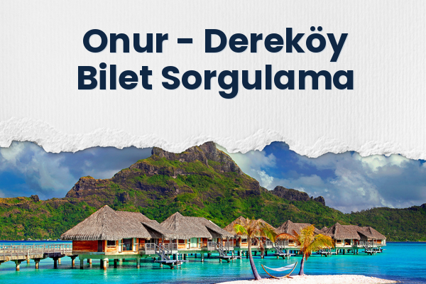 Onur → Dereköy Bilet Sorgulama