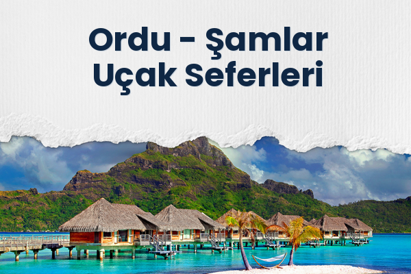 Ordu → Şamlar Uçak Seferleri