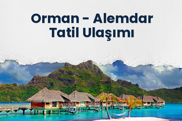 Orman → Alemdar Tatil Ulaşımı