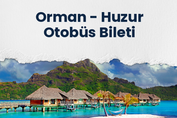 Orman → Huzur Otobüs Bileti