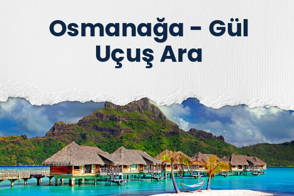 Osmanağa → Gül Uçuş Ara