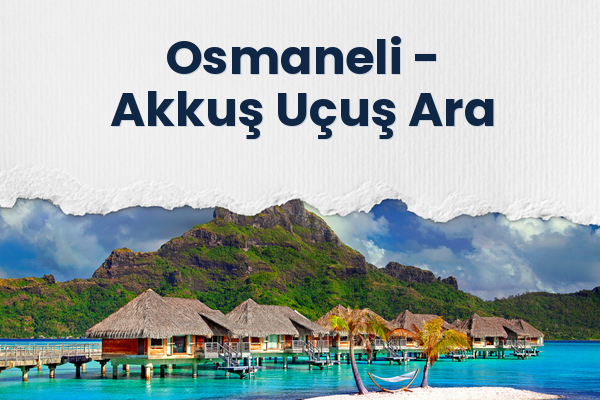 Osmaneli → Akkuş Uçuş Ara
