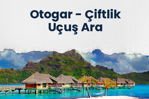 Otogar → Çiftlik Uçuş Ara