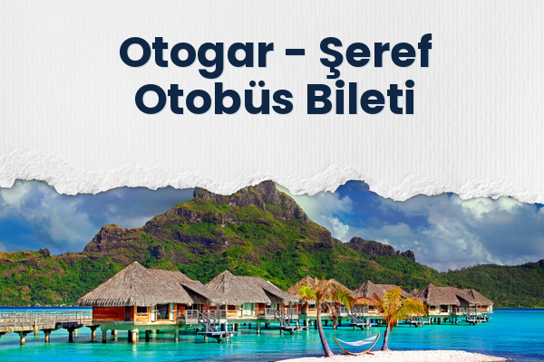 Otogar → Şeref Otobüs Bileti