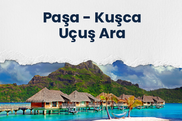 Paşa → Kuşca Uçuş Ara
