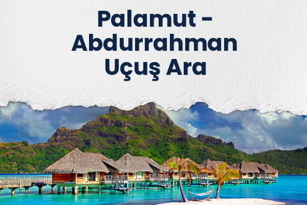 Palamut → Abdurrahman Uçuş Ara