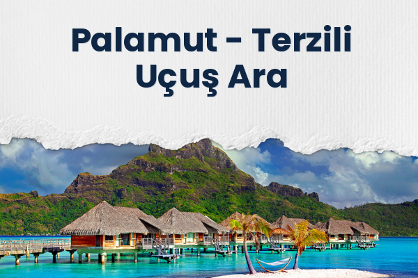 Palamut → Terzili Uçuş Ara