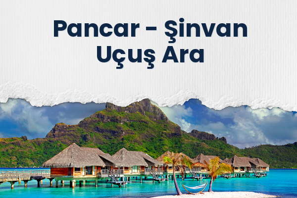 Pancar → Şinvan Uçuş Ara