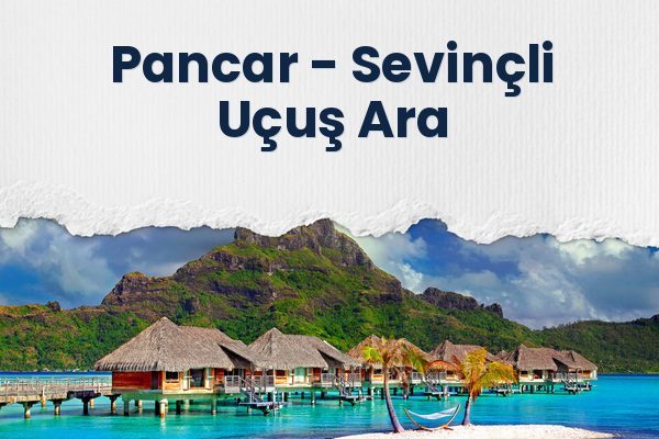 Pancar → Sevinçli Uçuş Ara