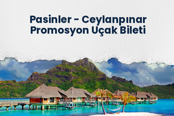 Pasinler → Ceylanpınar Promosyon Uçak Bileti