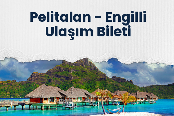 Pelitalan → Engilli Ulaşım Bileti