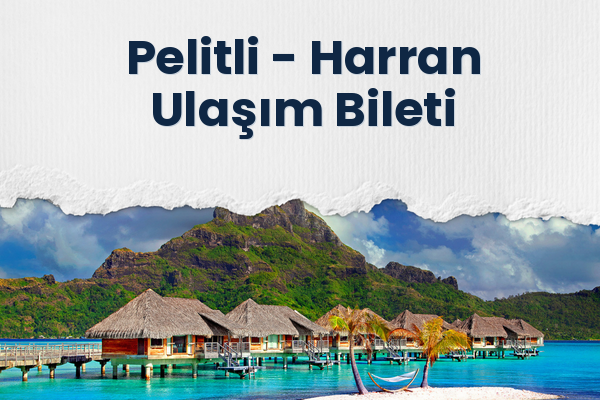 Pelitli → Harran Ulaşım Bileti