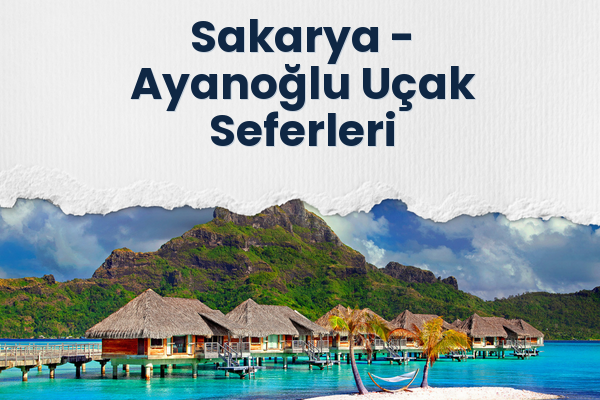 Sakarya → Ayanoğlu Uçak Seferleri