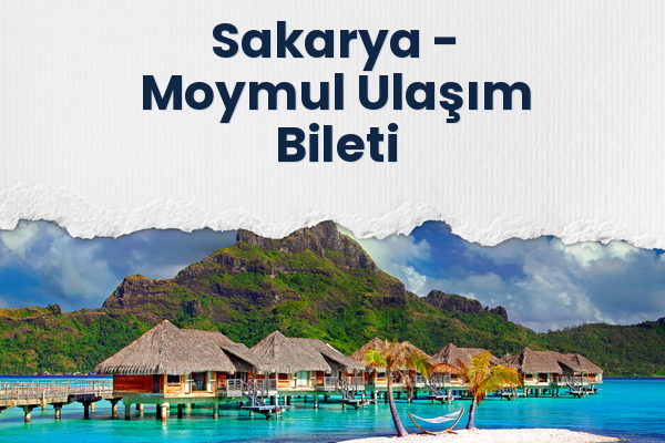 Sakarya → Moymul Ulaşım Bileti
