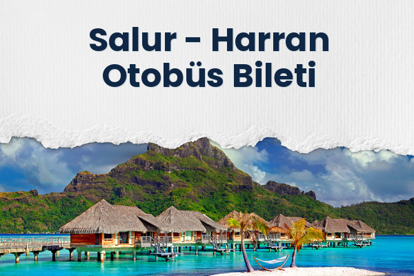 Salur → Harran Otobüs Bileti