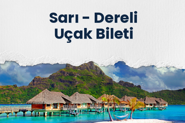 Sarı → Dereli Uçak Bileti