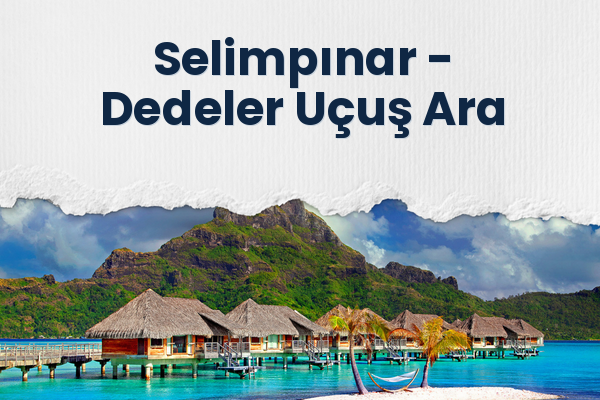 Selimpınar → Dedeler Uçuş Ara
