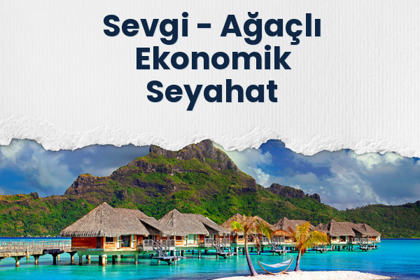 Sevgi → Ağaçlı Ekonomik Seyahat