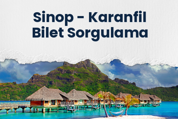 Sinop → Karanfil Bilet Sorgulama