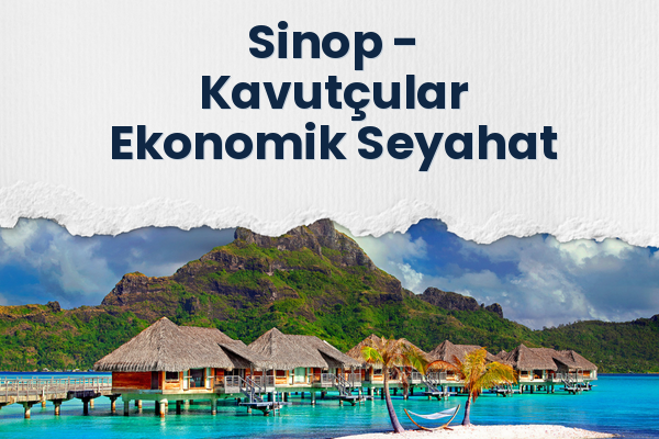 Sinop → Kavutçular Ekonomik Seyahat