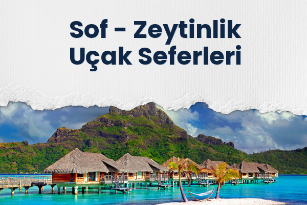 Sof → Zeytinlik Uçak Seferleri