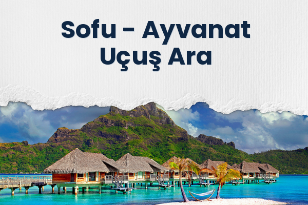 Sofu → Ayvanat Uçuş Ara