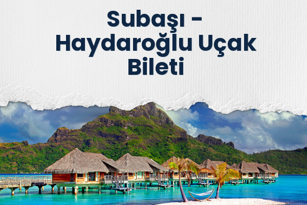 Subaşı → Haydaroğlu Uçak Bileti