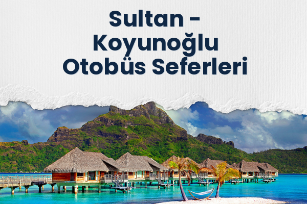 Sultan → Koyunoğlu Otobüs Seferleri