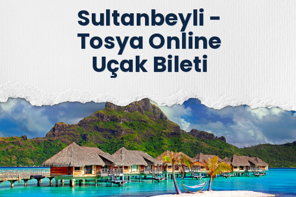 Sultanbeyli → Tosya Online Uçak Bileti
