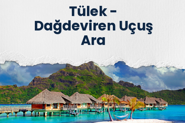 Tülek → Dağdeviren Uçuş Ara