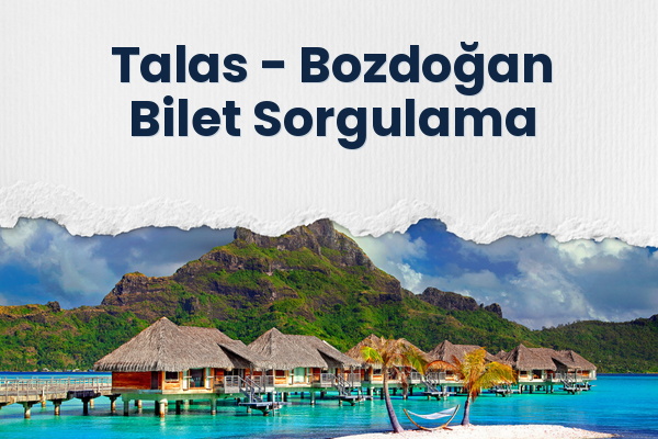 Talas → Bozdoğan Bilet Sorgulama