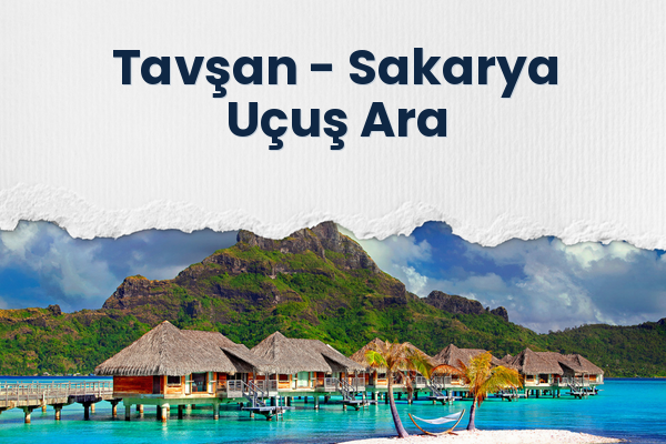 Tavşan → Sakarya Uçuş Ara