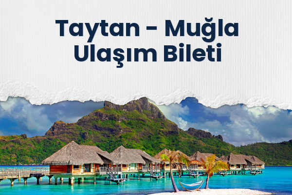 Taytan → Muğla Ulaşım Bileti