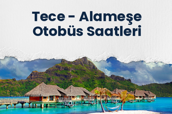 Tece → Alameşe Otobüs Saatleri