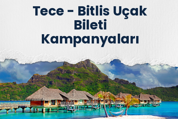 Tece → Bitlis Uçak Bileti Kampanyaları